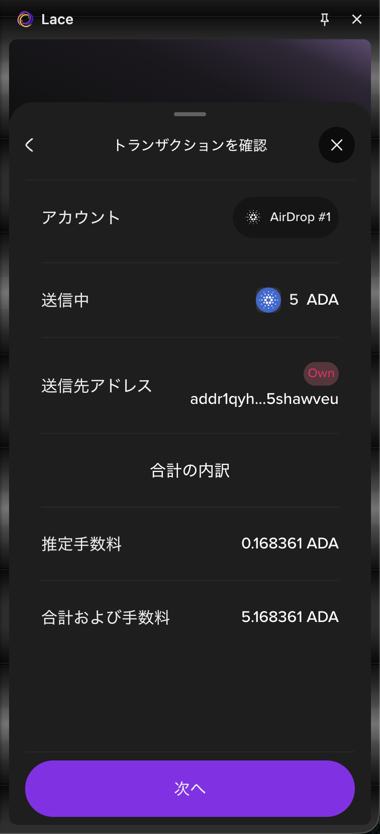 lace-send-4