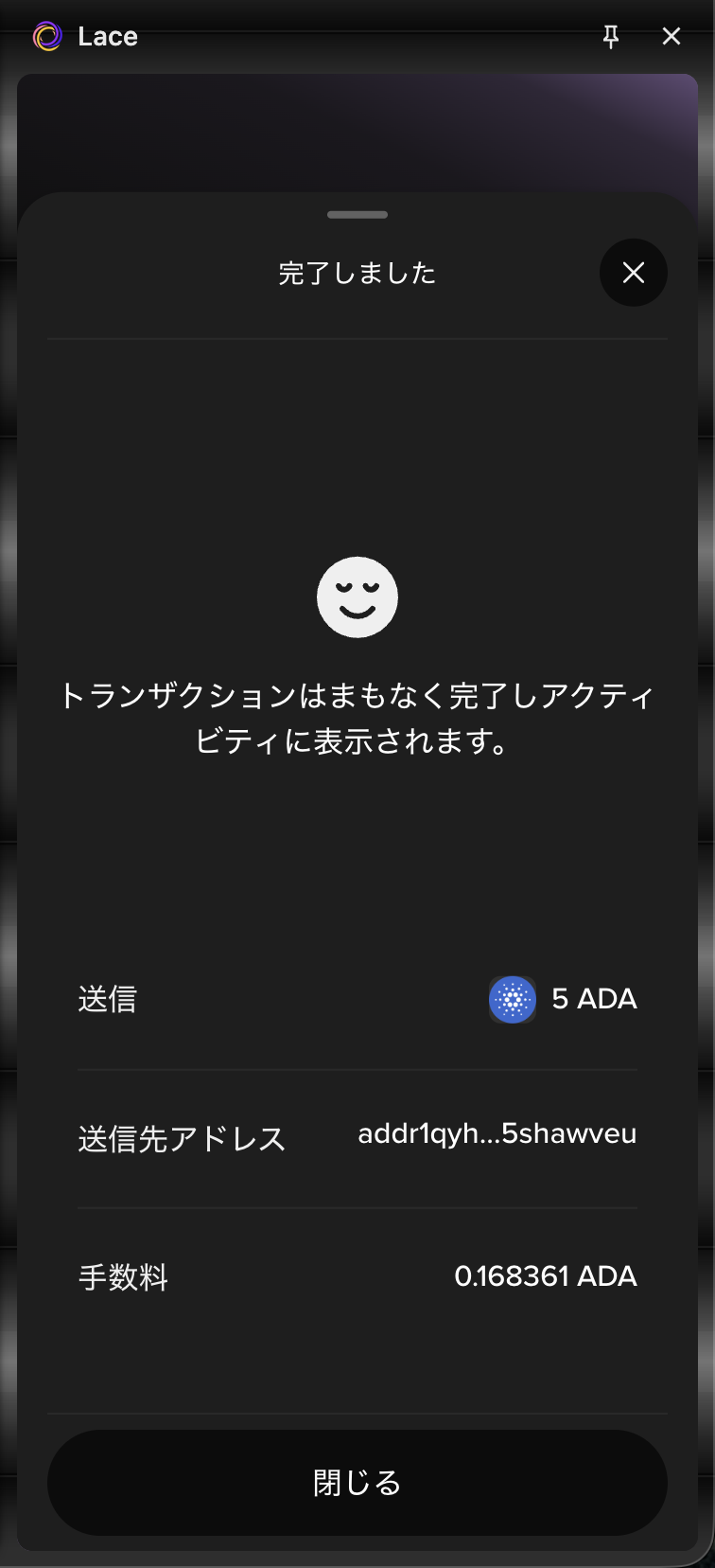 lace-send-5