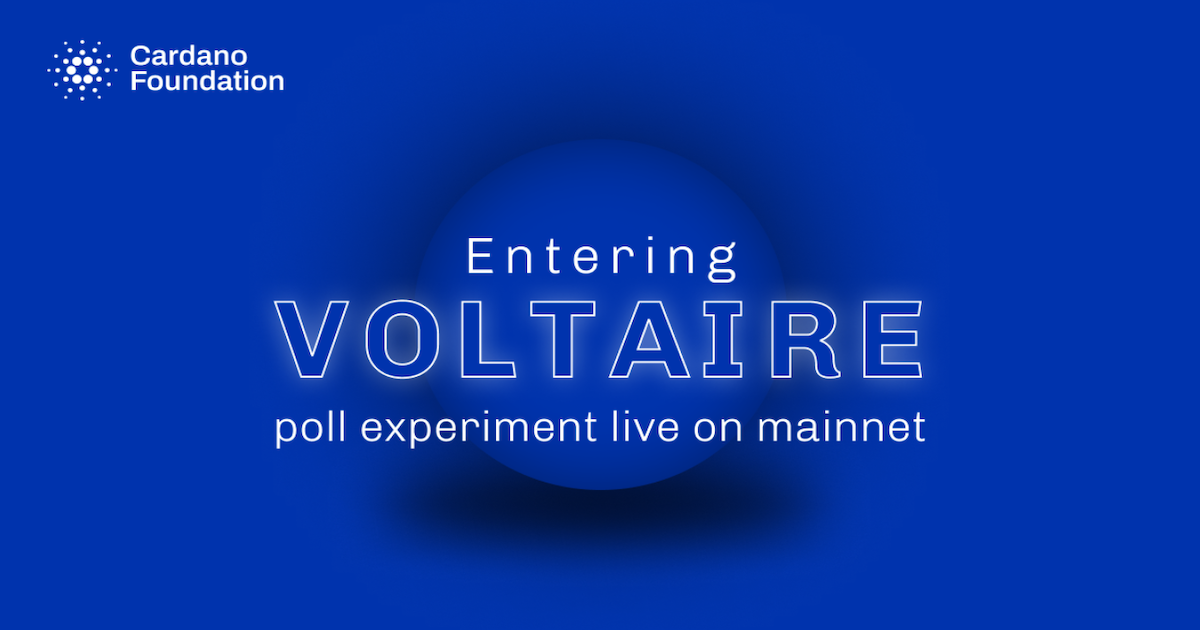 Entering Voltaire: poll experiment live on mainnet pic