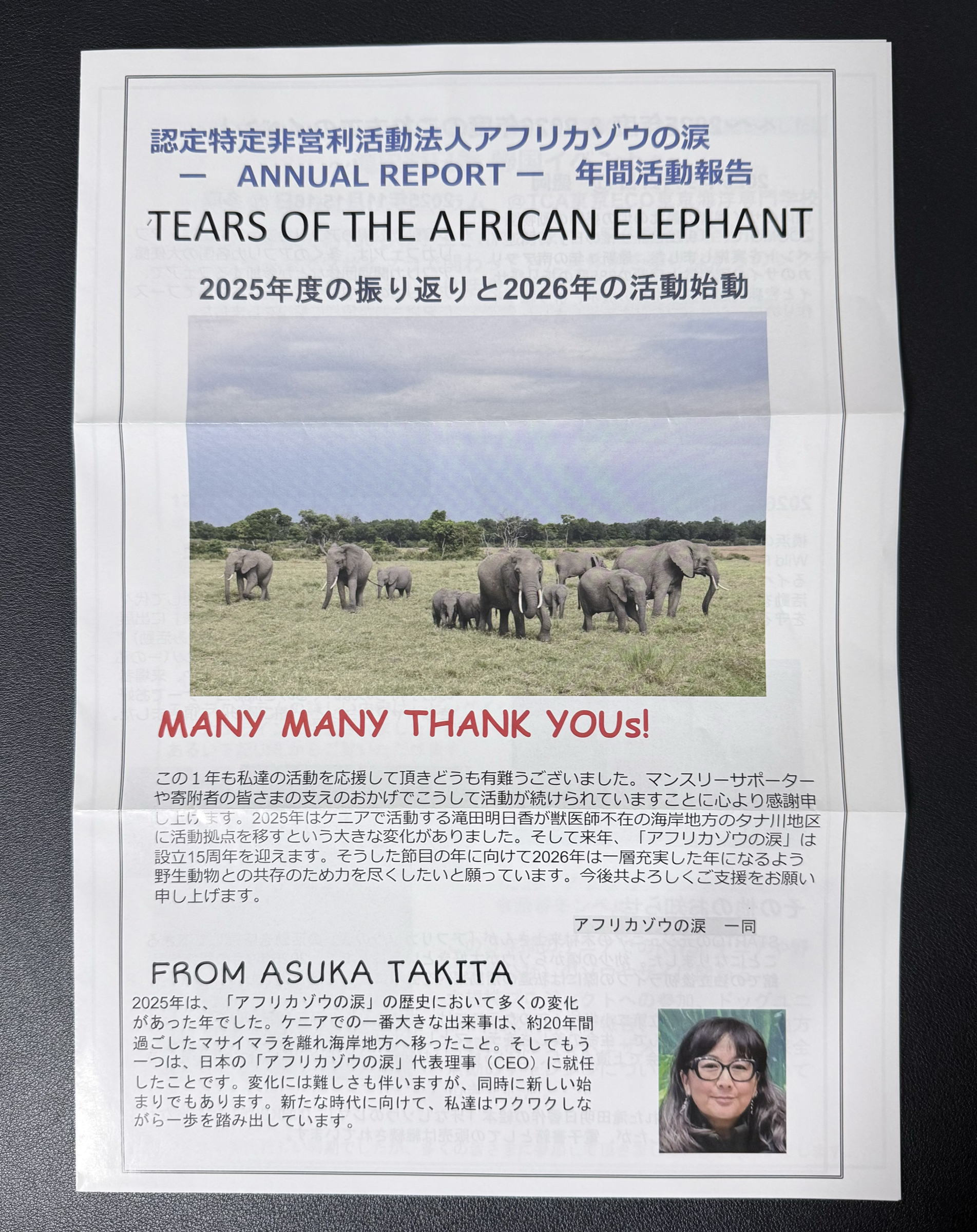 アフリカゾウの涙から届いた、2025年度の振り返りと2026年の活動始動を紹介する年間活動報告